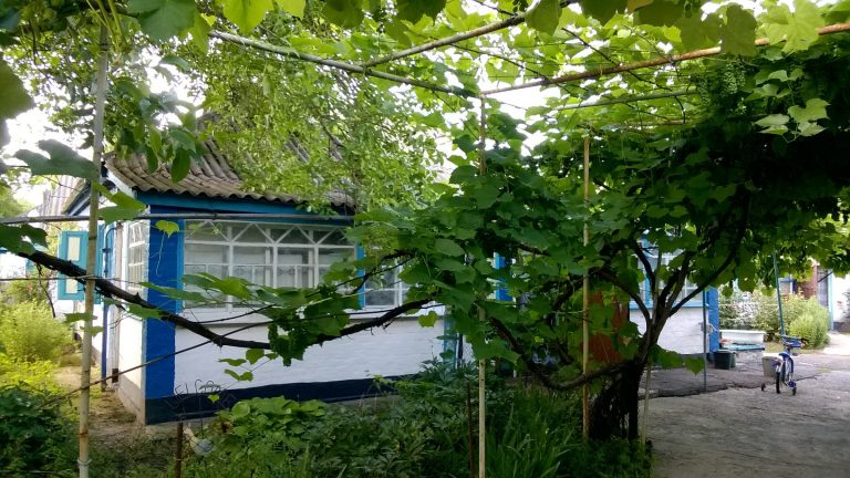 3441 продам дом+1га по трассе киев-харьков возле решетиловка в полтавская обл в село литвиновка