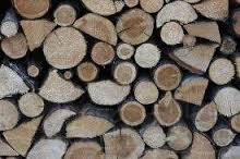 5388 Купить дрова в Николаеве