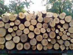 7123 Купить дрова в Николаеве, не дорого с доставкой