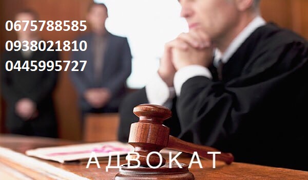 24569 Адвокат, консультации, суды, споры. Киев